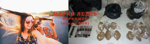 крисы Алексин