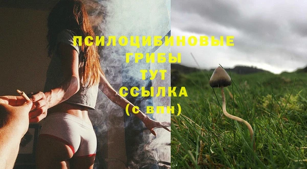 ALPHA PVP Алзамай