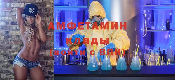 крисы Алексин
