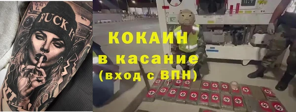 крисы Алексин