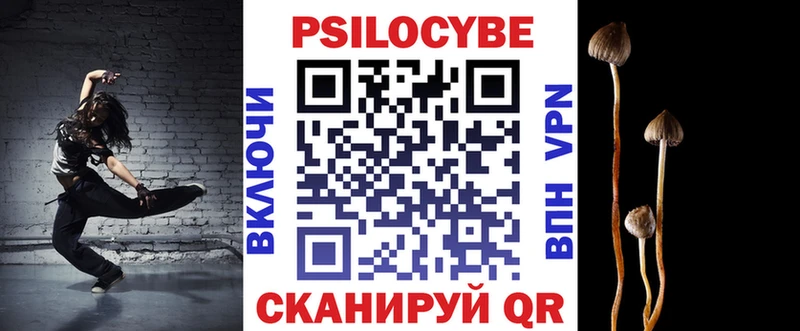 Галлюциногенные грибы Psilocybe  Павловская 